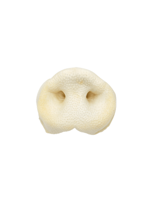 Jack disznó orr fehér 1db zsugorban